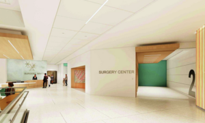 Artist rendering of inside of the new hospital.